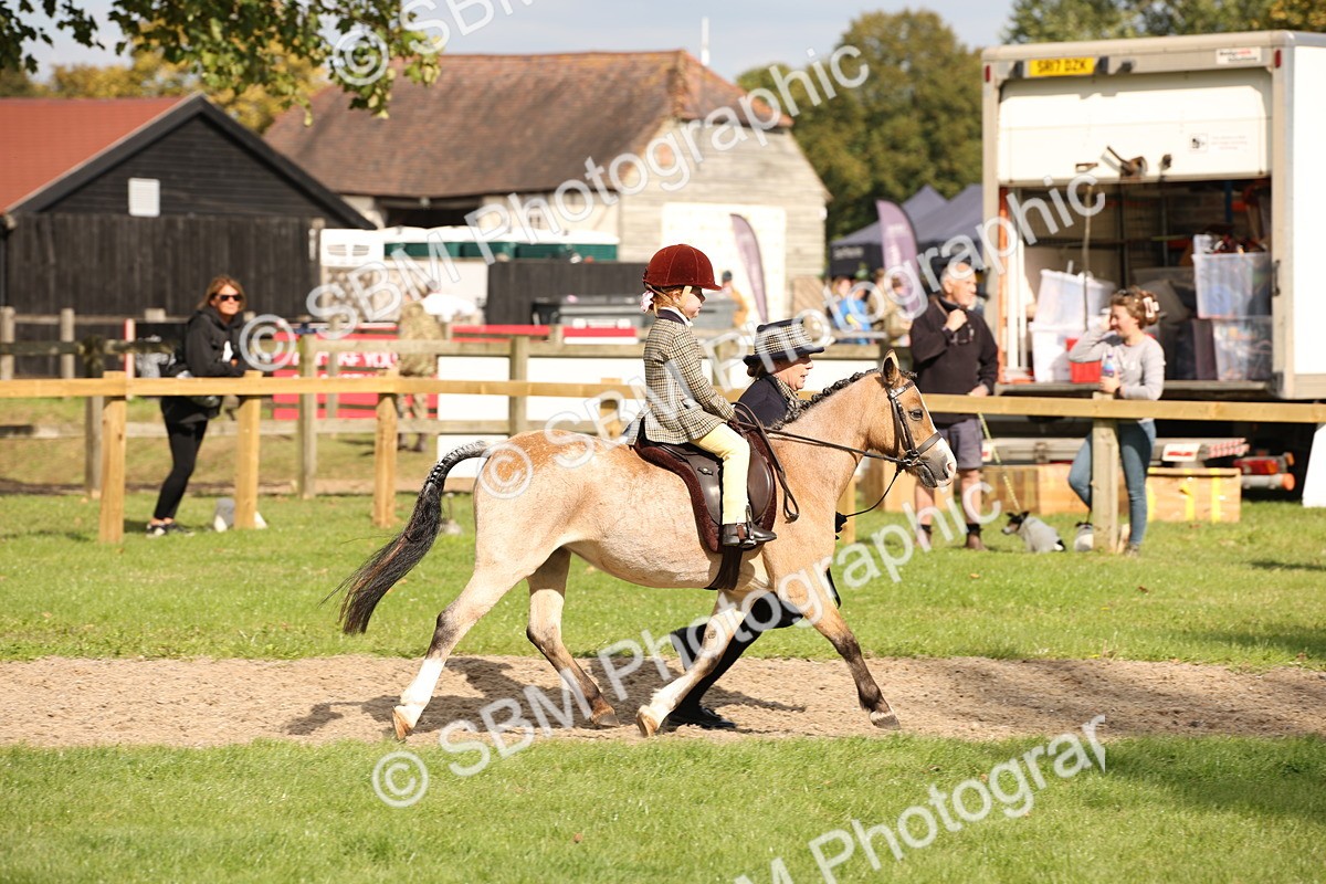 SBM_49990 - S26 - Young Veteran - Ridden