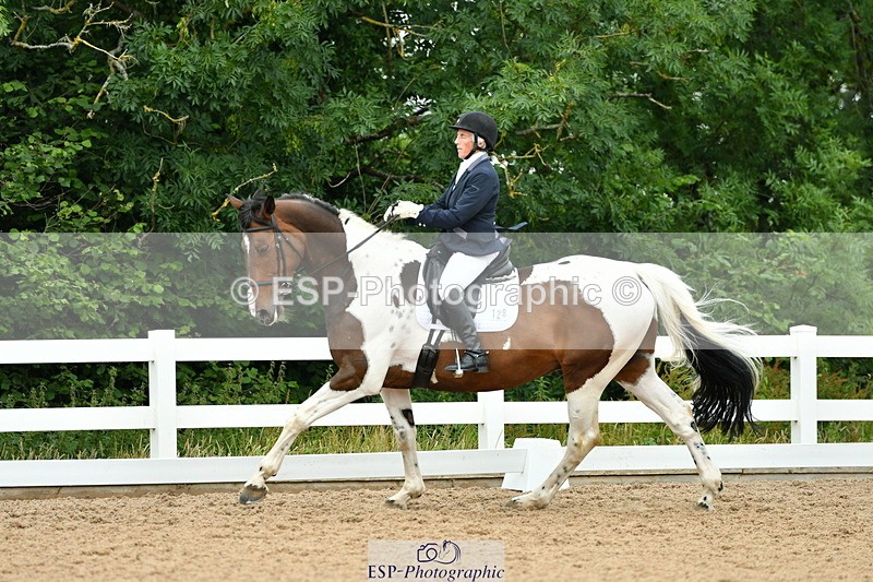 230630A-110757-00647 - Cls 9+12 Music Elementary + Medium