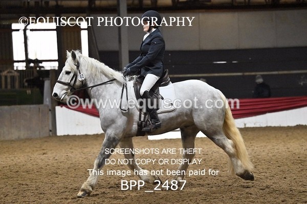 BPP_2487 - NOVICE TEST 4