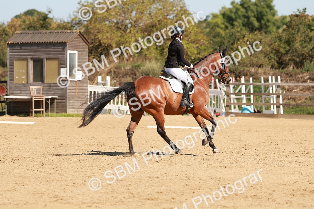 SBM_010811 - Class 7 - Novice 2