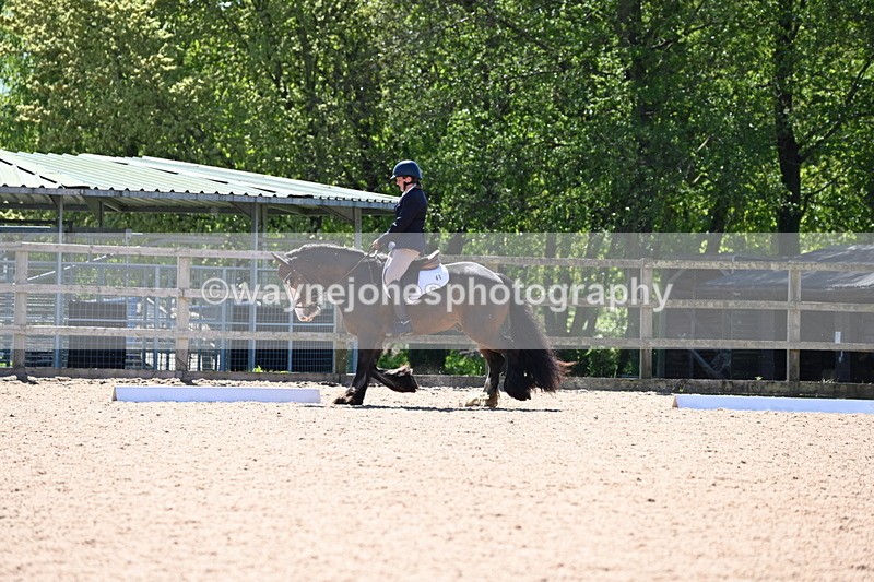 WJ6_0666 - Class 3 time 13:10 to 13:22