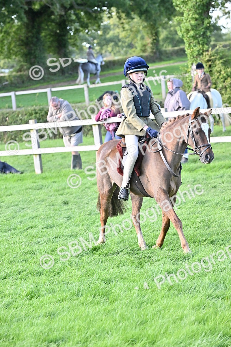 SBM_51233 - S22 - First Ridden show and show Hunter Pony