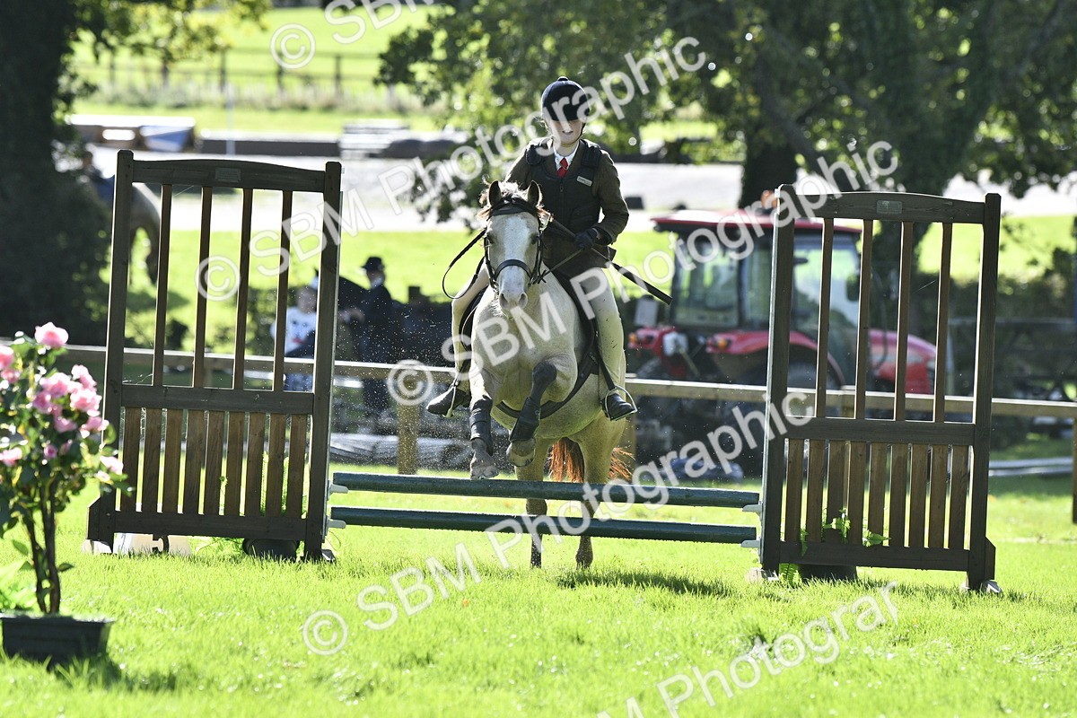 SBM_38198 - S31 - Novice & Newcomer Working Hunter Pony