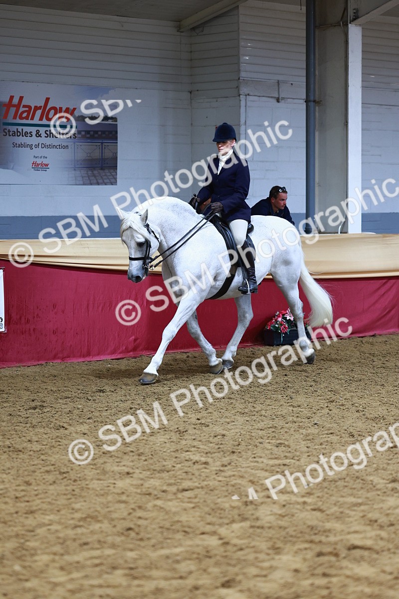 SBM_23385 - class 906 - Supreme Final - Ridden Pre Vet