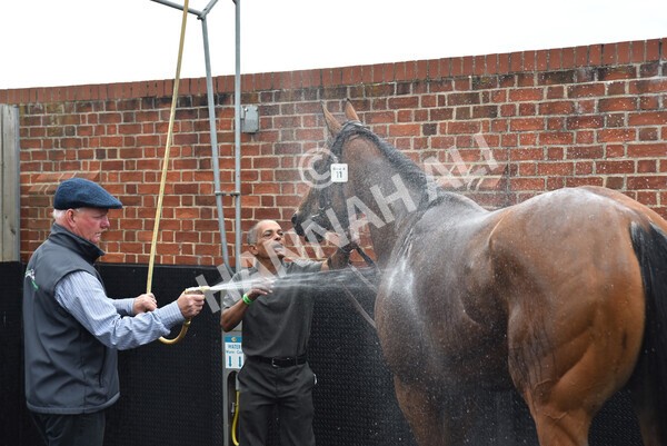 yr19082022r4-131 - Race 4 3.35pm Coolmore Wootton Bassett Nunthorpe Stakes (British Champion Series Race)