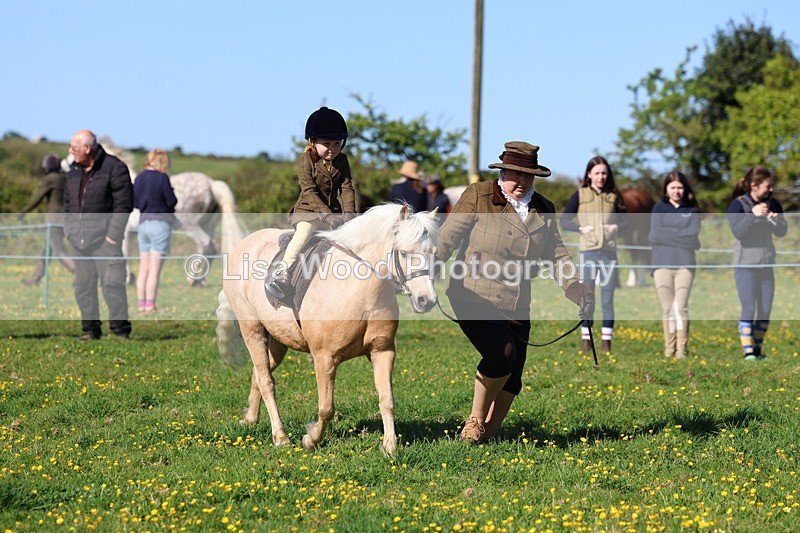 3E7A8735 - Class 2: Lead rein