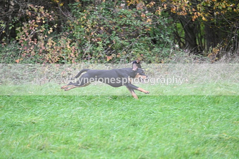 WJ7_9487 - Camera A