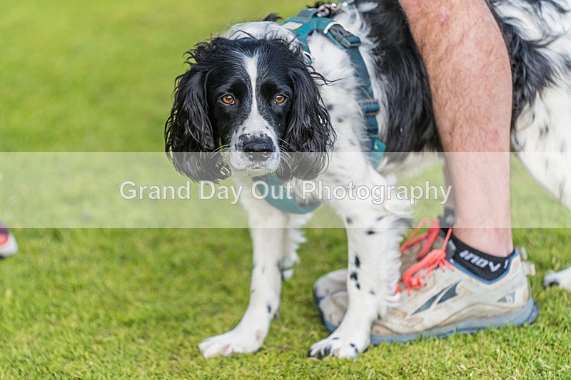 Round Latrigg-52 - Round Latrigg Fell Race Wednesday 12th June 2024
