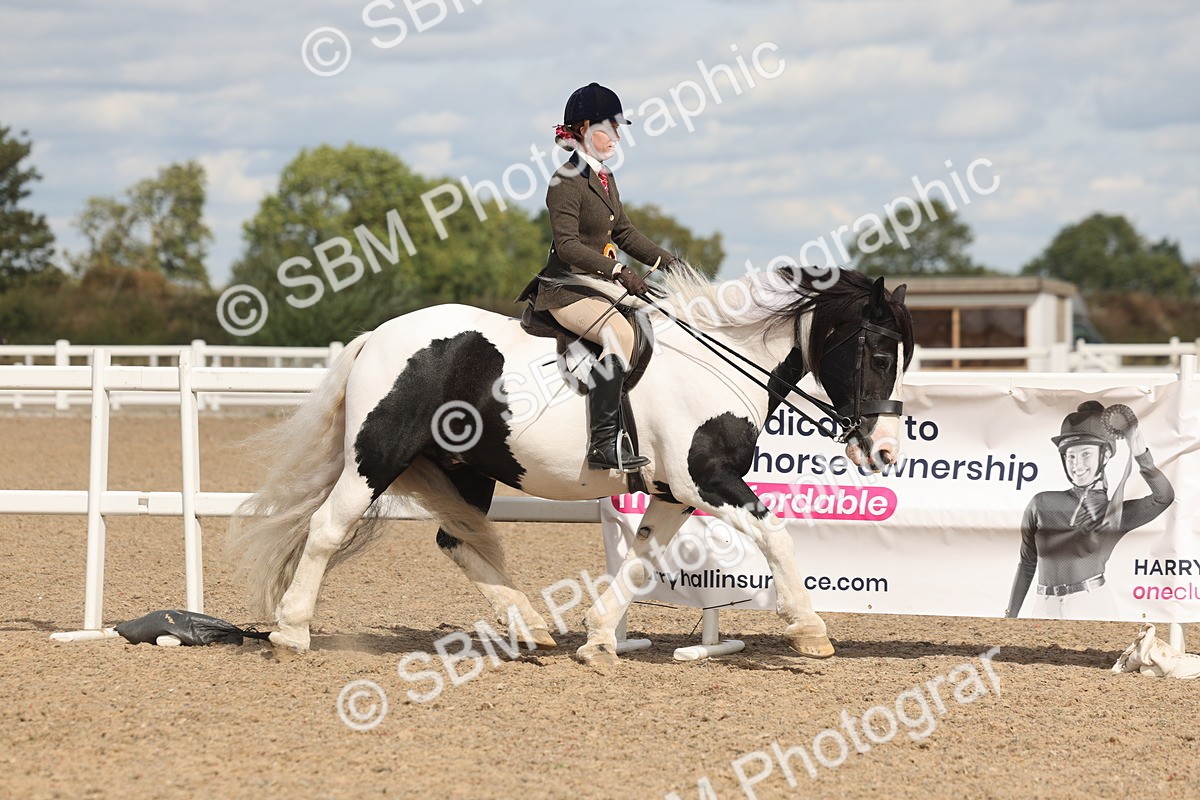 SBM_14874 - Class 308 - Ridden Coloured Horse