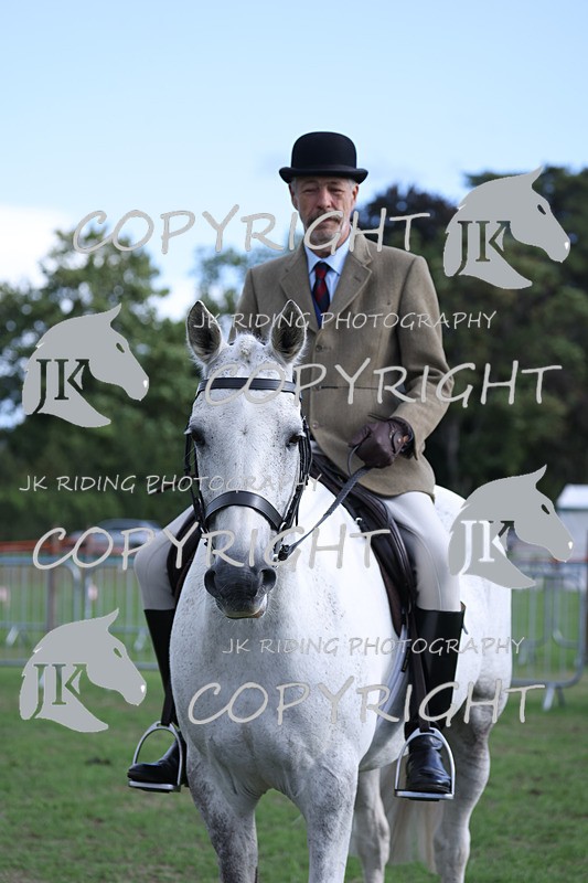 APP_4168 - Class 15a/b Pony club pony/Riding club horse