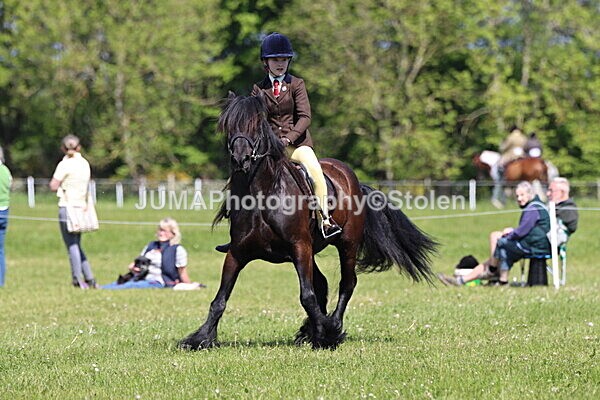 IMG_4284 - Working Hunter