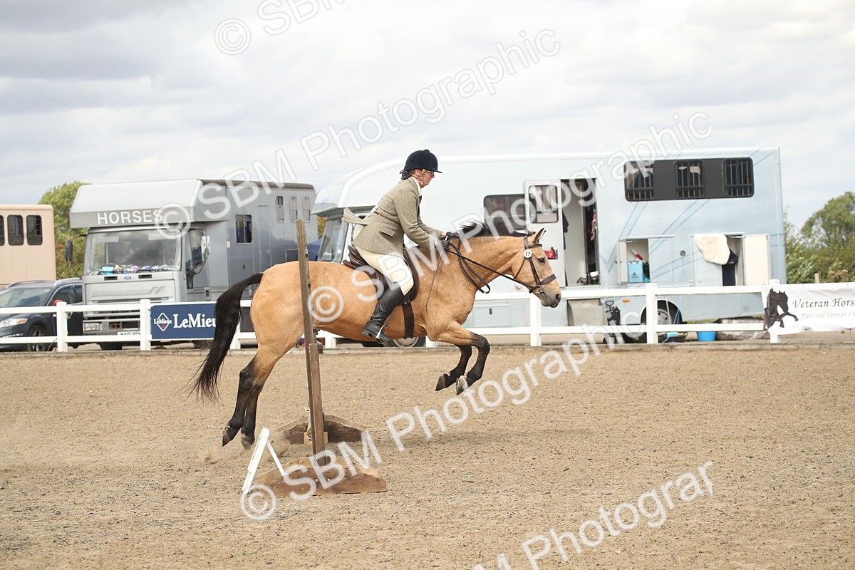 SBM_16603 - Class 507a - Working Veteran - 60cm (15-19)