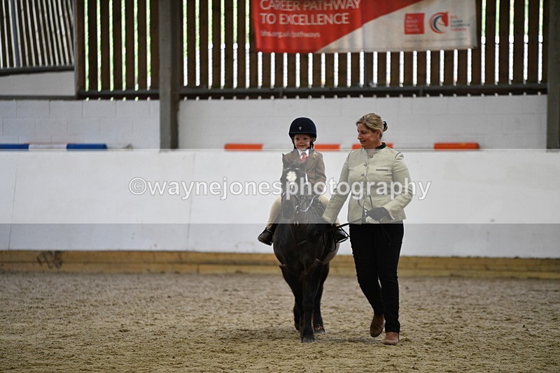 WJ5_6616 - Class 10 Childs Pony