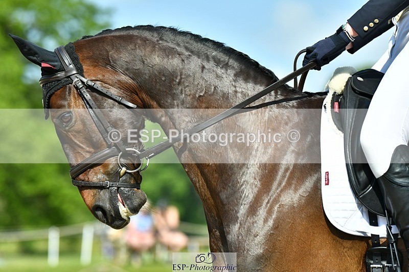 230525-102424-03890 - 412-SAN_SOLO-Imo_Brook-DR