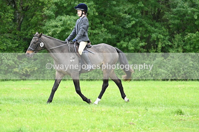 WJ7_4496 - Class 14B Prettiest Mare