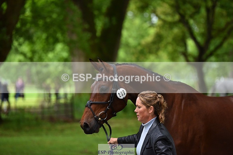 240522-165712-01278 - 229-ROCK_THE_CASPAR-Ali_Wilkes