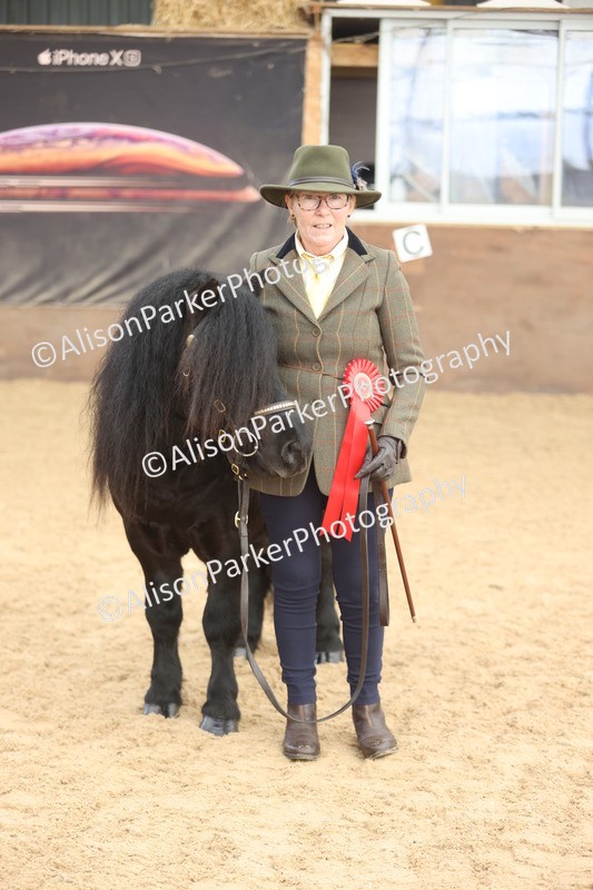 20251109-0083 - Class 4 - Stallions 4 Years and over