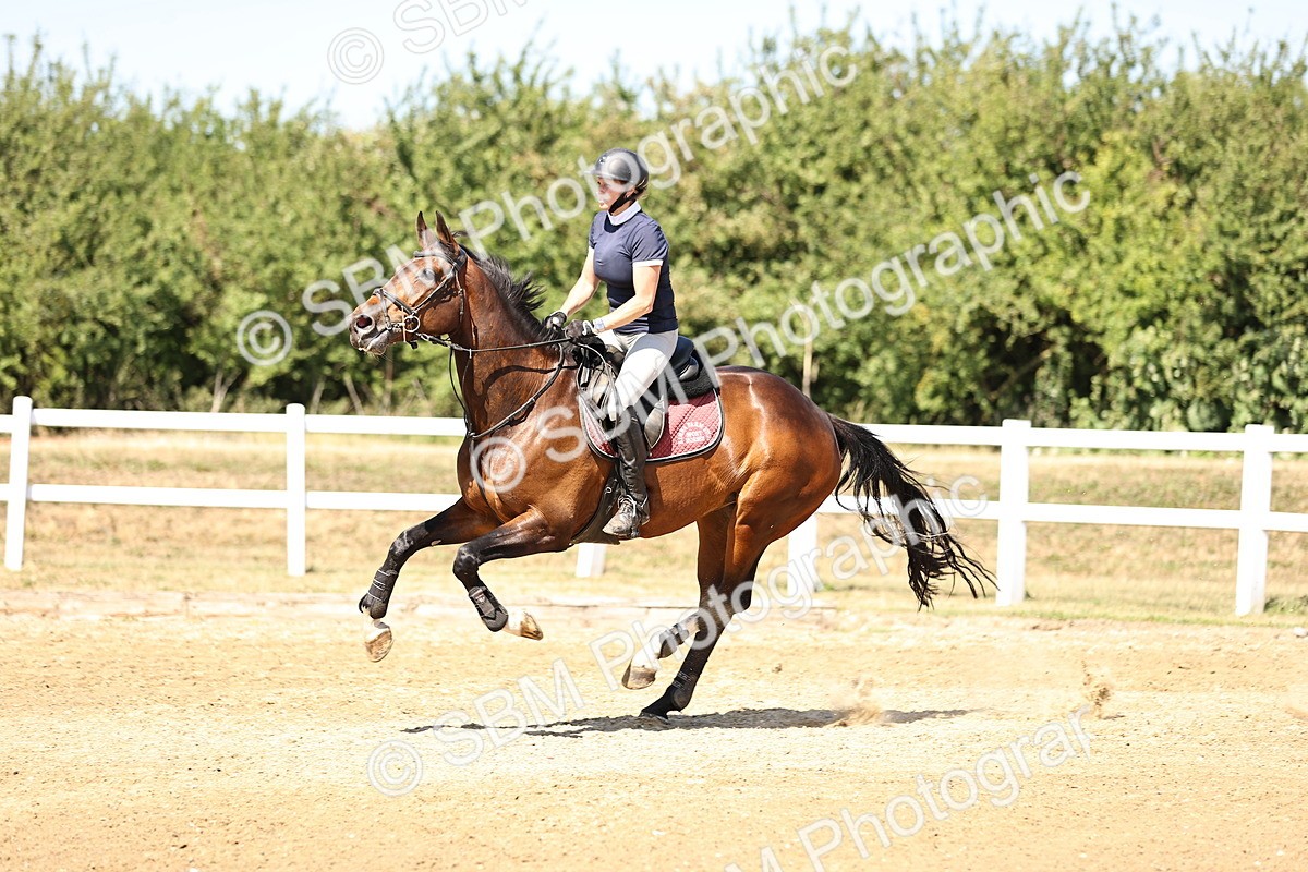 SBM_015079 - Class 16 - Senior foxhunter - 1.20m Open