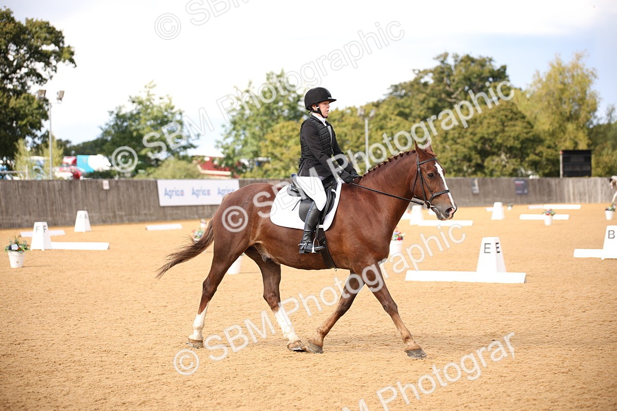 SBM_08995 - D8 Small Tour Championship Prelim 7