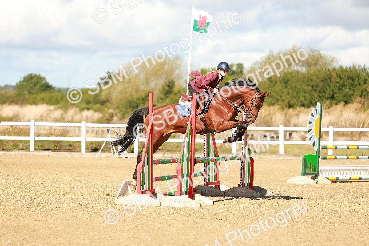 SBM_000545 - Class 2 - Senior British Novice - 90cm