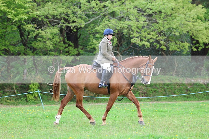 3E7A2572 - Classes 30 and 31: 80cm Working Hunter