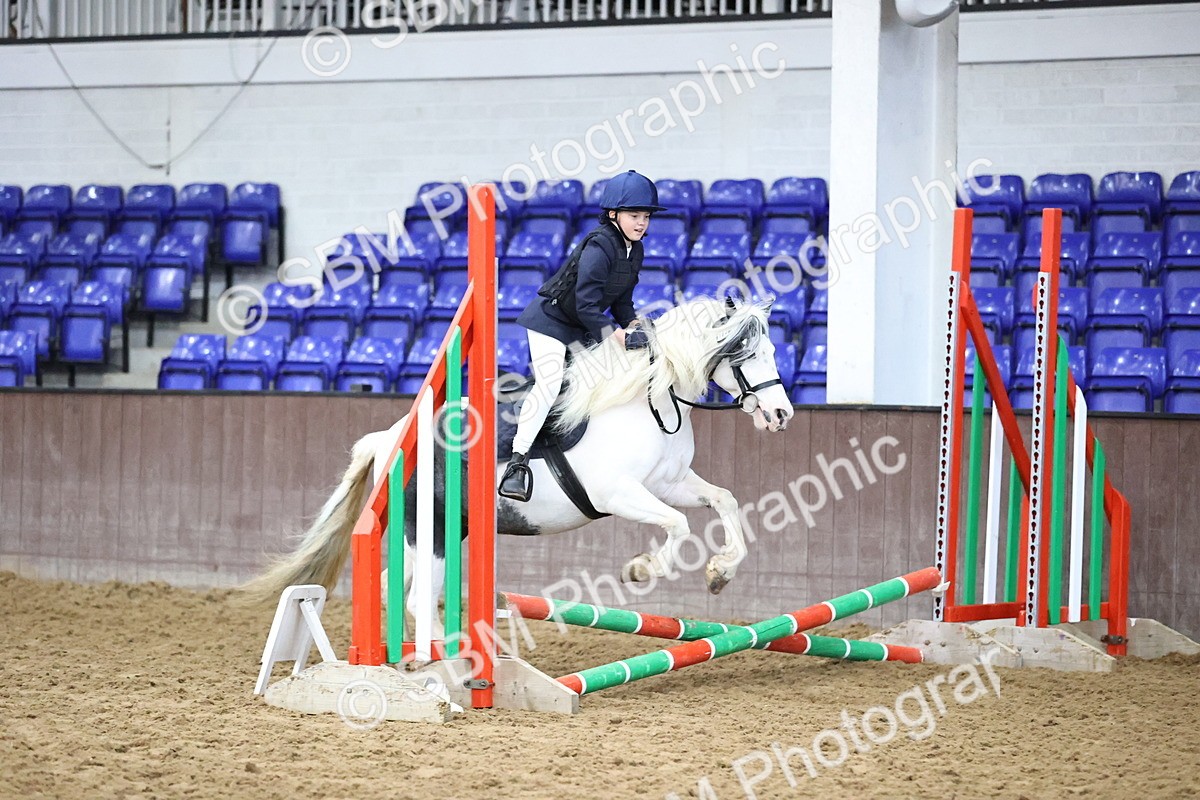 SBM_000197 - Class 2 - The Rug Lady 40cm Area 12 Championship Qualifier
