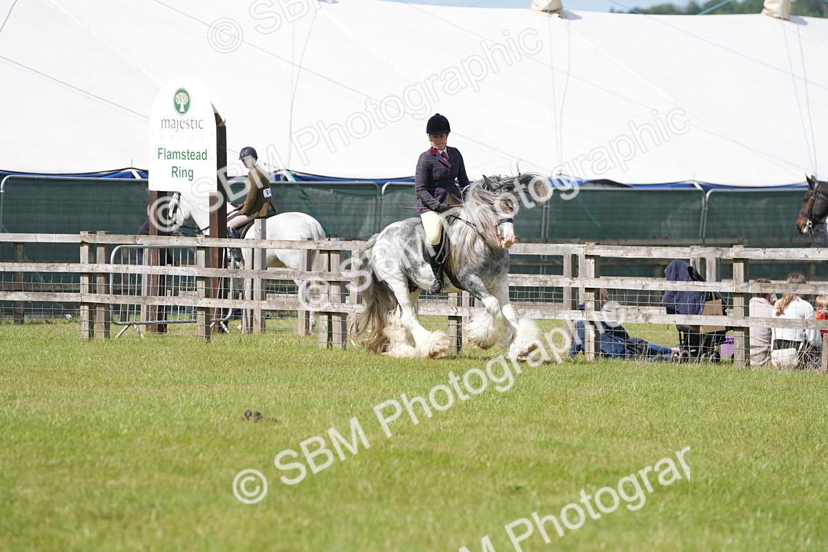 SBM_17301 - Class 107-108 - LIHS BSPS Performance Coloured Horse Pony