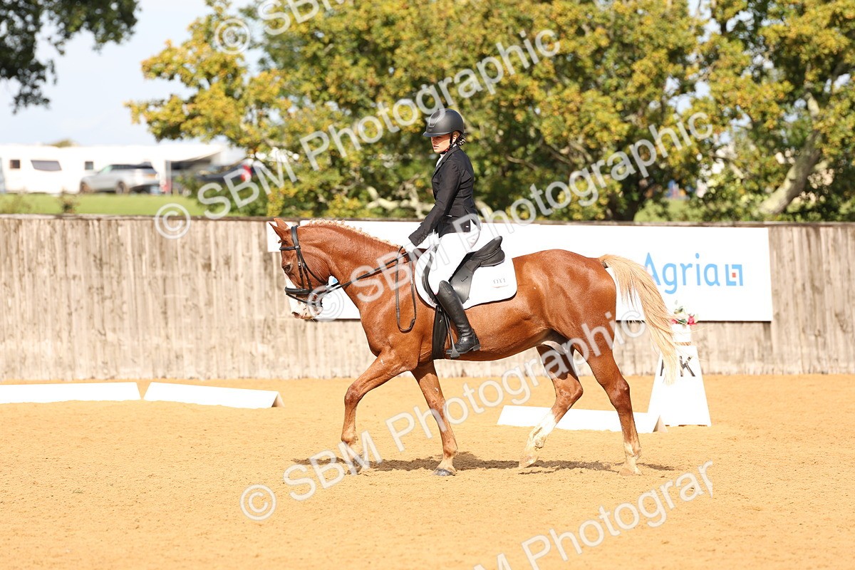 SBM_03540 - D1 - Small Tour Championship Intro 1