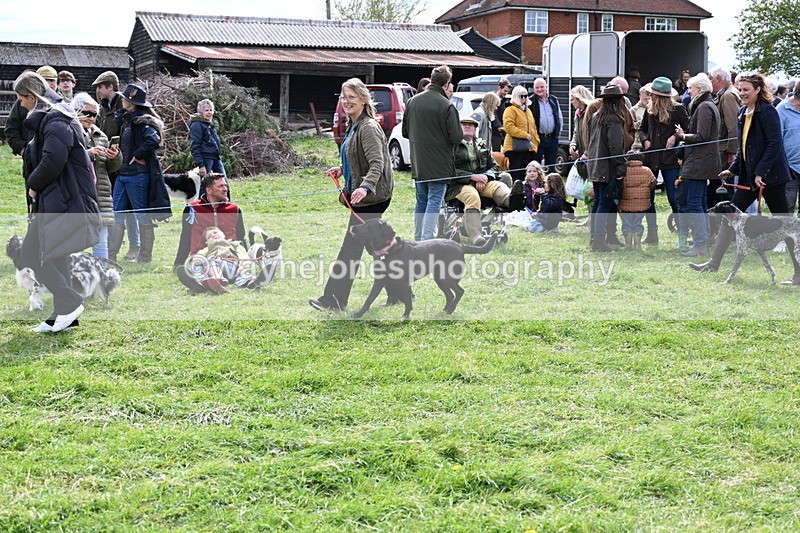 WJ6_8270 - Class 4 Prettiest Bitch