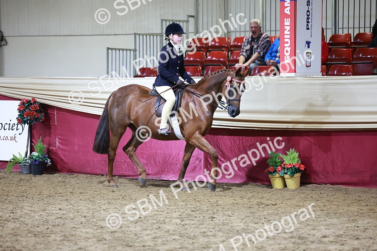 SBM_21215 - Class R - Veteran Champ