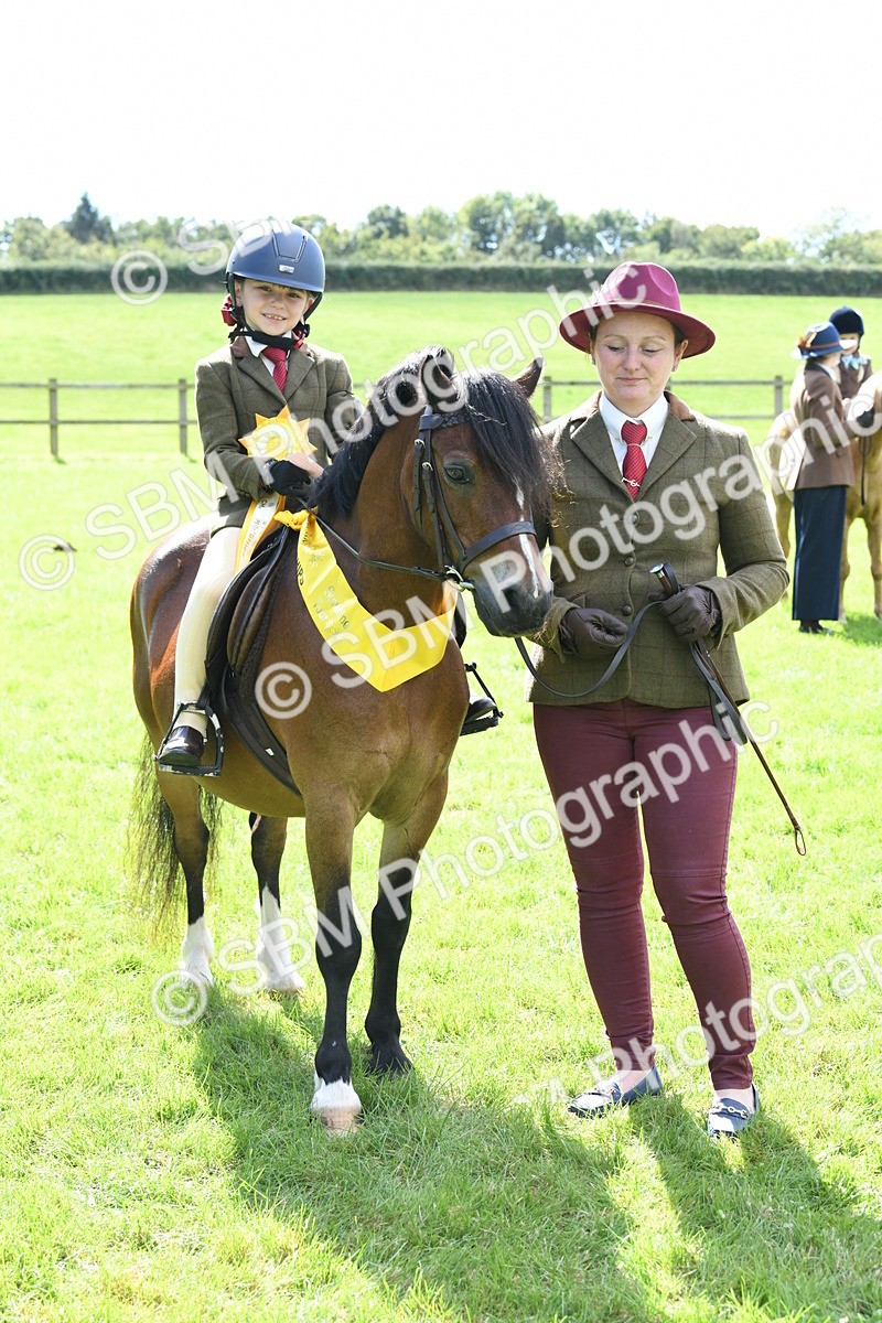 SBM_42641 - S20 - Lead Rein Mountain & Moorland Pony