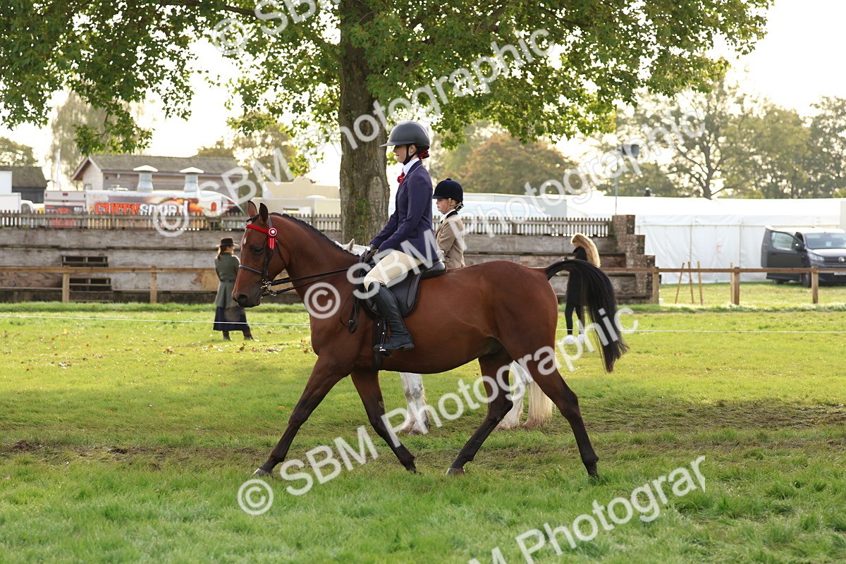 SBM_56606 - S40 - Starters Ridden Showing