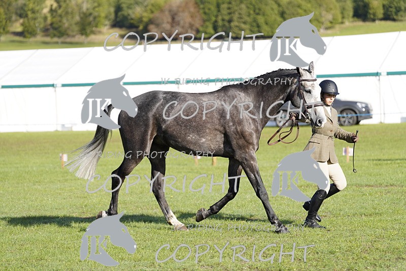 _DSC9499 - Class 8 & 17 Ridden Hunter & Ridden Hunter Pony