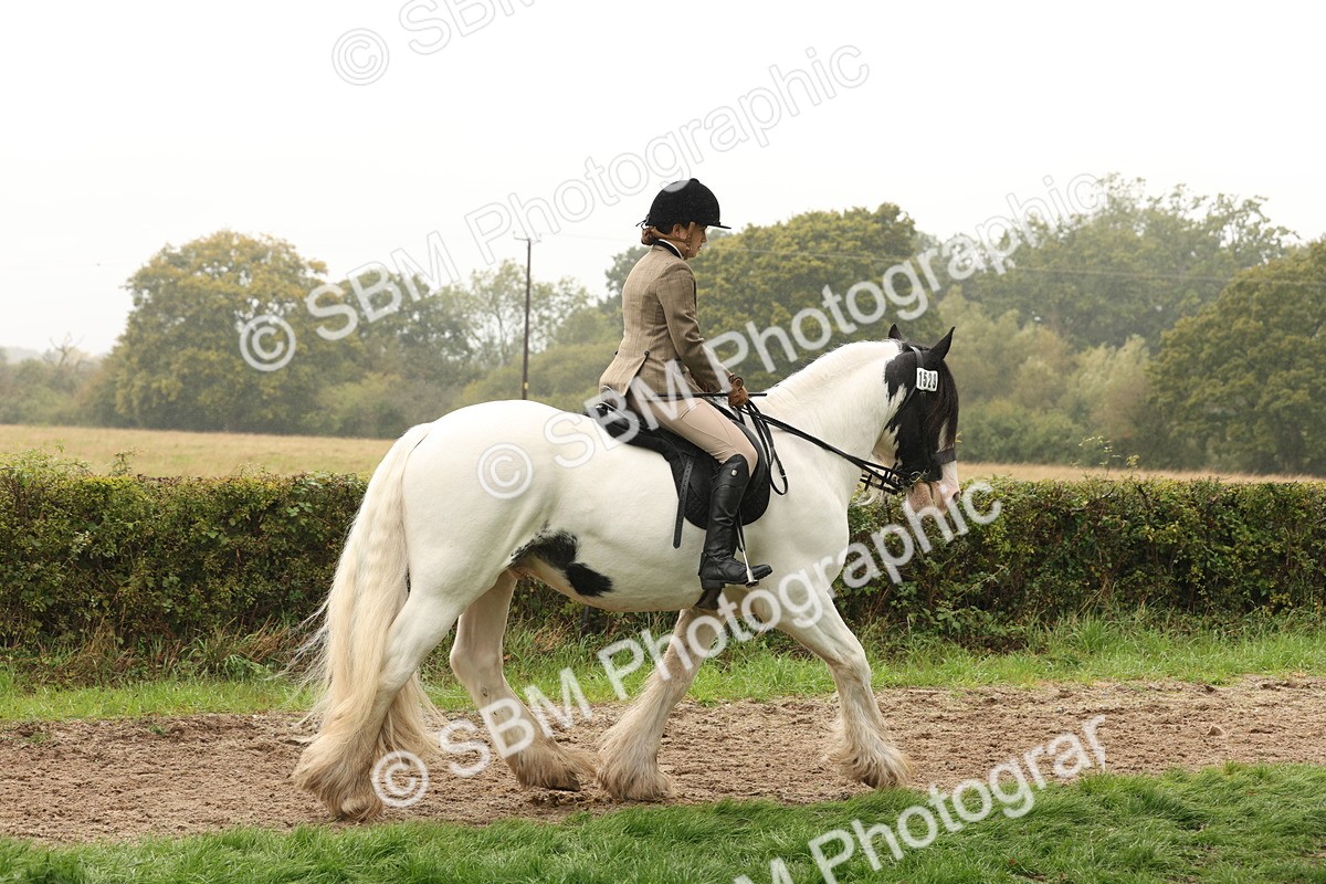 SBM_72685 - S70 - Traditional Cob Ridden