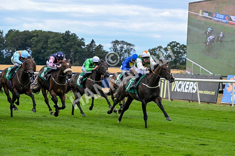 070826-Race 2-Prosperity Angel-1495 - Race 2 14.40pm Bob Vickery Memorial Restricted Maiden Fillies' Stakes