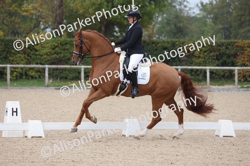 20251012-0809 - Class 9 - Advanced Medium 3