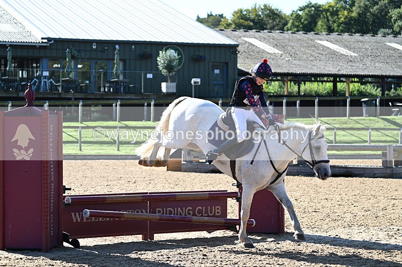 WJ7_1231 - Time 10:39 to 11:18