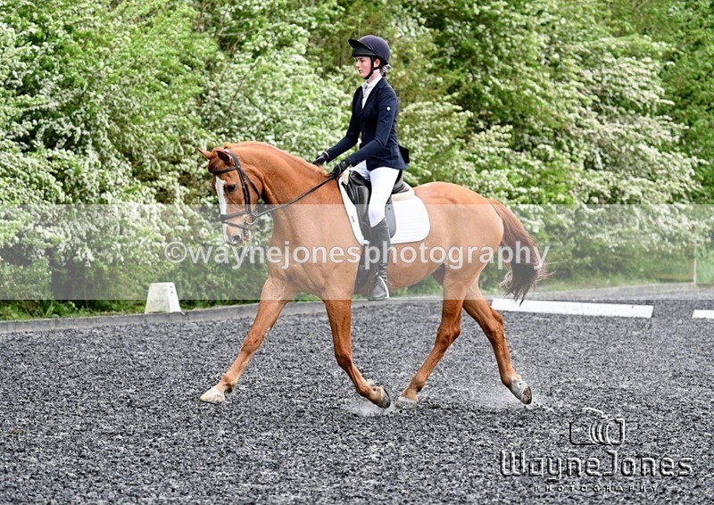 WJ7_1603-001 - Lyford Stud - Dressage 03-05-25
