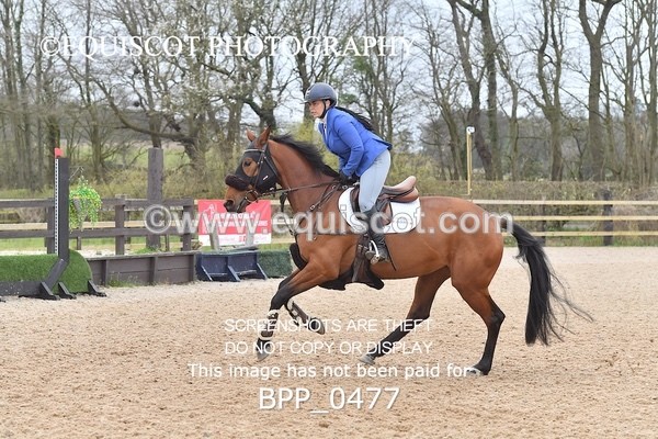 BPP_0477 - CLASS 2 Club/ Unaffiliated 80cms Open