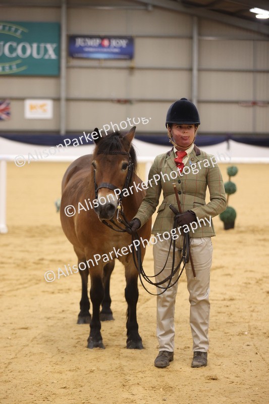 20260913-1060 - Class 109 - Bred On Exmoor In Hand