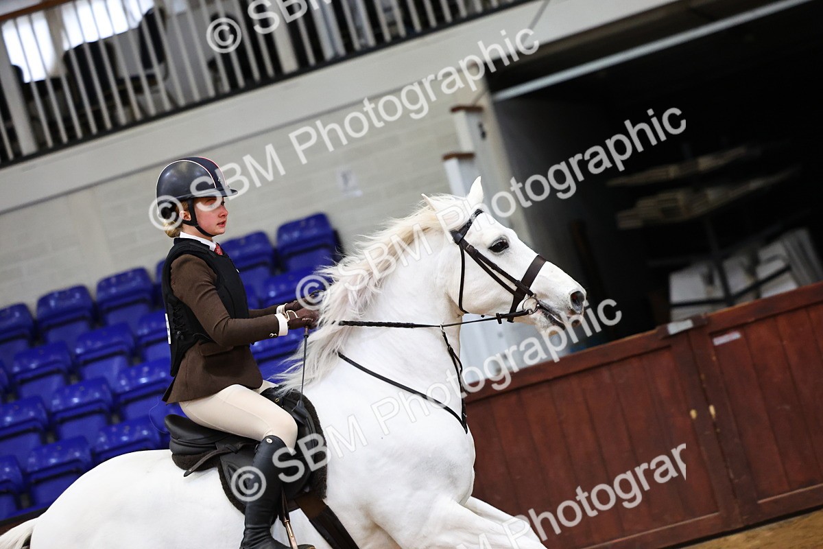 SBM_006493 - Class 43 - RIHS Qualifier Exceeding 43cms