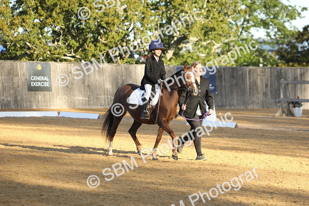 SBM_33635 - D26 - Starers - Lead Rein