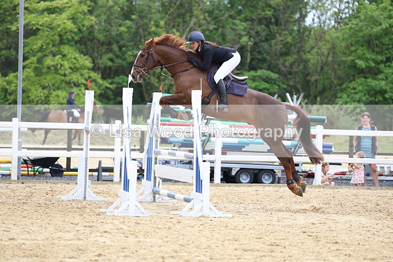 3E7A7487 - Class 8: Senior Foxhunter/1.20 open