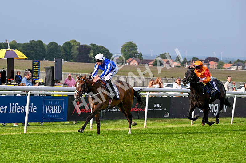160626-Race 1-Waasil-3179 - Race 1 18.30pm Napoleons Casino Hull Dine In Style From £35 EBF Novice Stakes