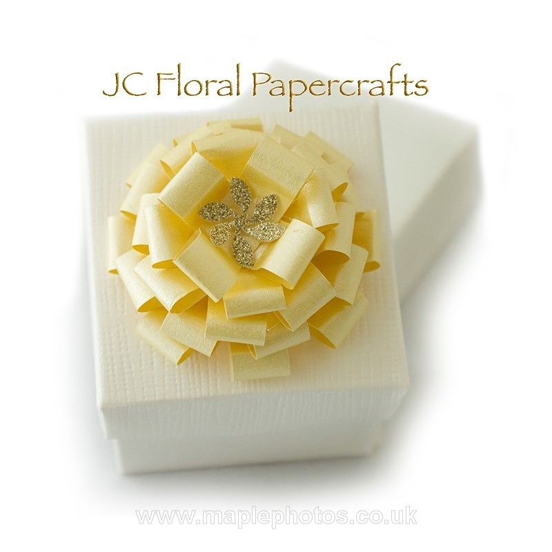  - Commercial Photography and Photographic Services