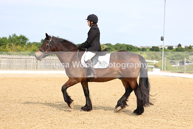 3E7A9048 - Class 1: Intro 1 2024 Section A