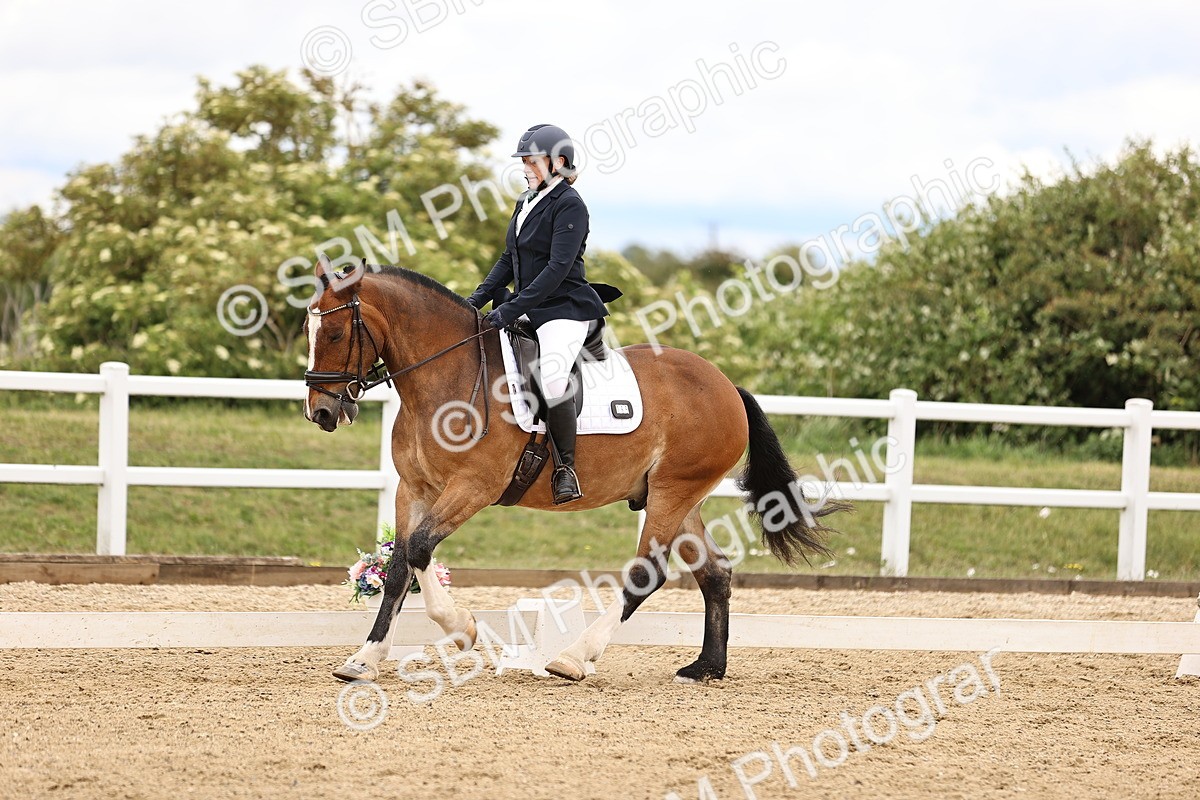 SBM_002817 - Class 2 - Novice 4 - 12.00-13.10
