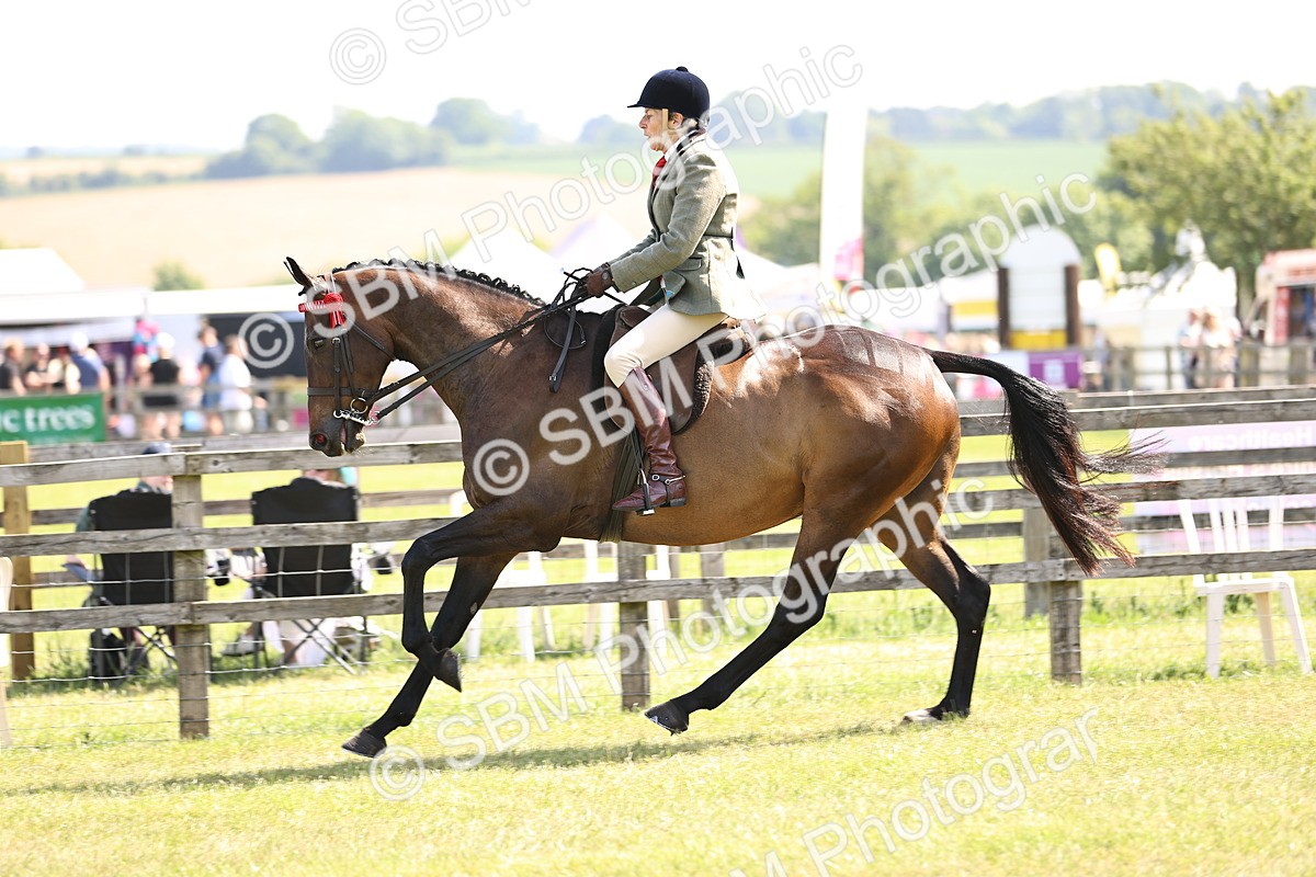 SBM_13006 - Class 75-76 LIHS BSHA Rising Star Hack Riding Horse