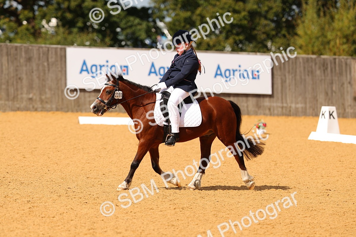SBM_44064 - D22 - Junior Championship - Intro B
