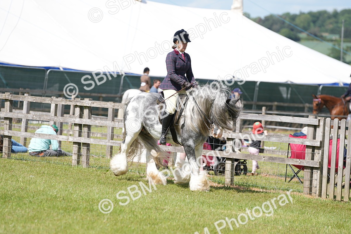 SBM_17093 - Class 107-108 - LIHS BSPS Performance Coloured Horse Pony